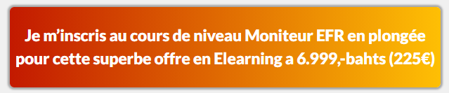 Le Cours Emergency First Response Instructeur enseigne aux participants à réagir aux urgences qui menacent la vie