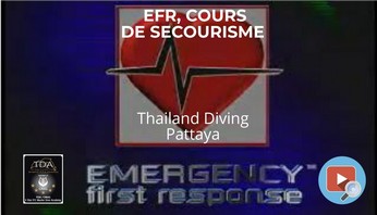 Formation de plongée EFR Soins Primaires,e-learning